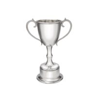 small-bullet-pewter-trophy